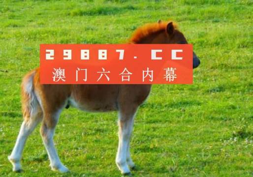 2025年新澳门和香港正版一肖一特一码一中-详细解答、解释与落实