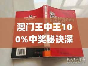 澳门和香港王中王100%期期中,词语释义解释与落实展望