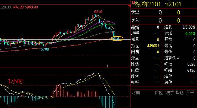 2025澳门和香港今晚开特马开什么,和平解答解释与落实展望