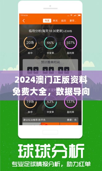 2025新澳门正版精准免费大全-详细解答、解释与落实