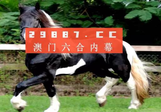 澳门和香港一肖一码一中一肖l,词语释义解释与落实展望