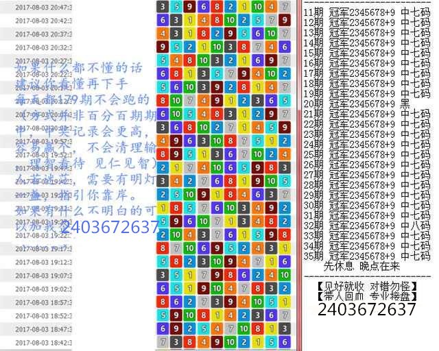 新澳门王中王100%期期中,词语释义解释与落实展望