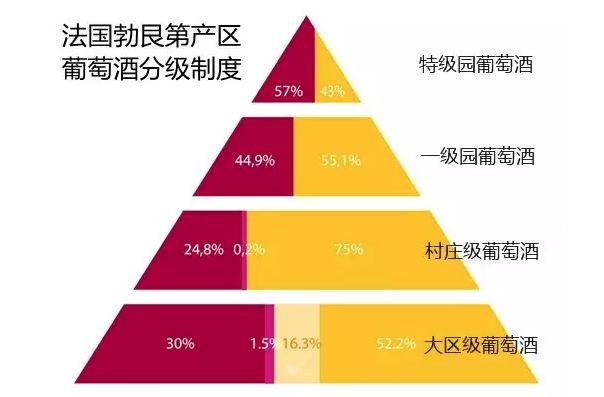 2025年今晚澳门和香港特马,和平解答解释与落实展望