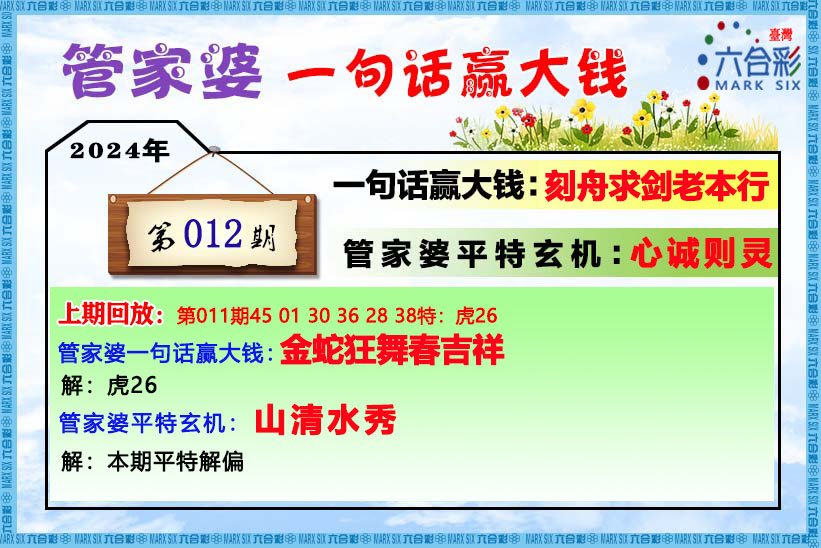 澳门和香港管家婆100中,全面释义解释与落实展望