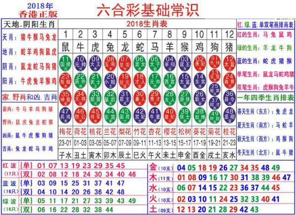 澳门正版资料大全资料生肖卡-详细解答、解释与落实